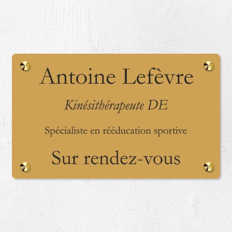 Plaque professionnelle économique en PVC gravoply 25x15cm