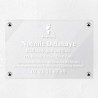 Plaque réflexologue en plexiglas transparent 30x20cm